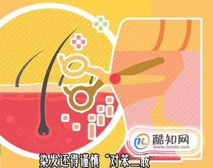 Ⱦ�����һ���ܹ���֤ͷ������ ����Ⱦ���°�������